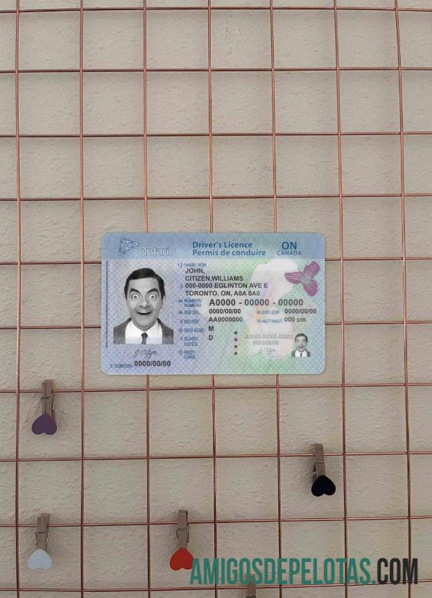 Kanada Ontario DL (2018 ΓÇô sekarang) tampilan foto depan desain
