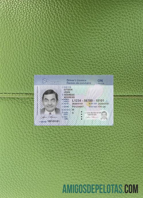Kanada Ontario DL (2018 ΓÇô sekarang) versi 2 tampilan foto depan templat