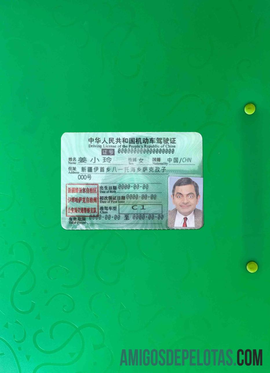 Tiongkok DL tampilan foto depan desain