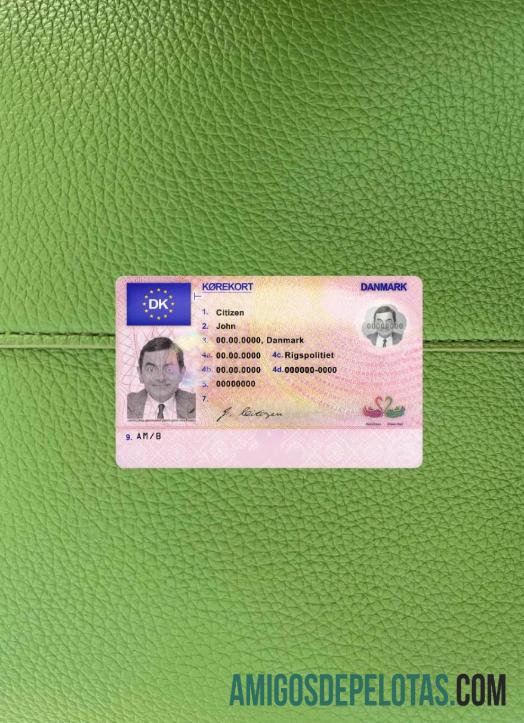 Denmark DL tampilan foto depan desain