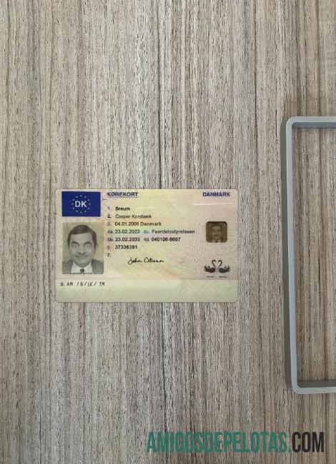 Denmark Surat Izin Mengemudi 2023 sekarang tampilan foto depan makering
