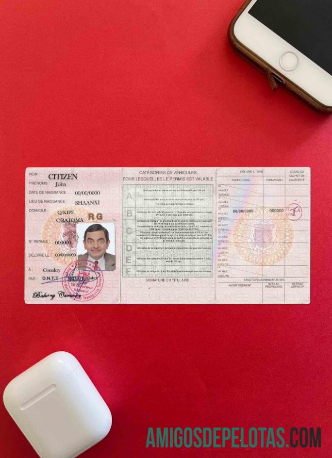 Guinea DL tampilan foto templat