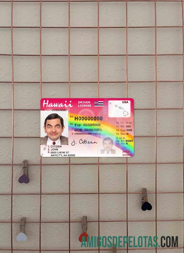 Hawaii DL tampilan foto depan templat