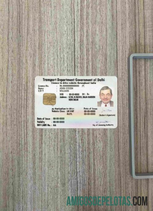 India (Delhi) Surat Izin Mengemudi tampilan foto depan desain