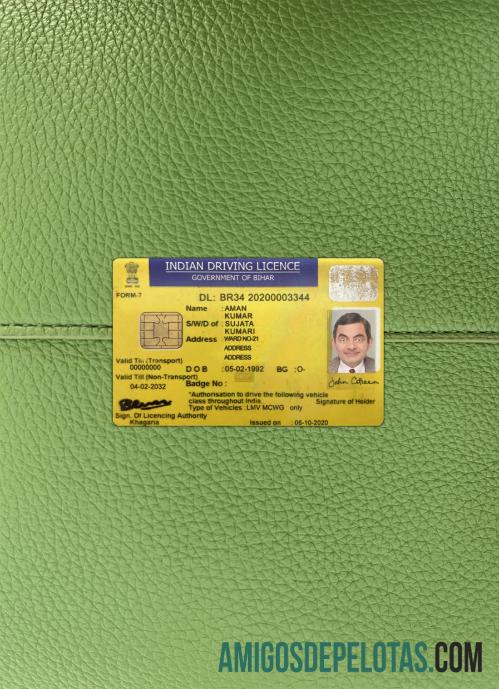 India Bihar state Surat Izin Mengemudi tampilan foto depan pratinjau