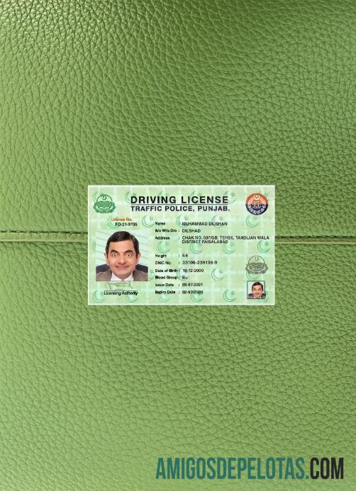 India Punjab Surat Izin Mengemudi 2021 sekarang tampilan foto depan sampel