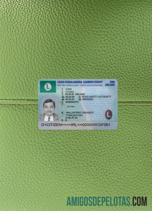 Irlandia Surat Izin Mengemudi (learner izin) 2022 sekarang tampilan foto depan sampel