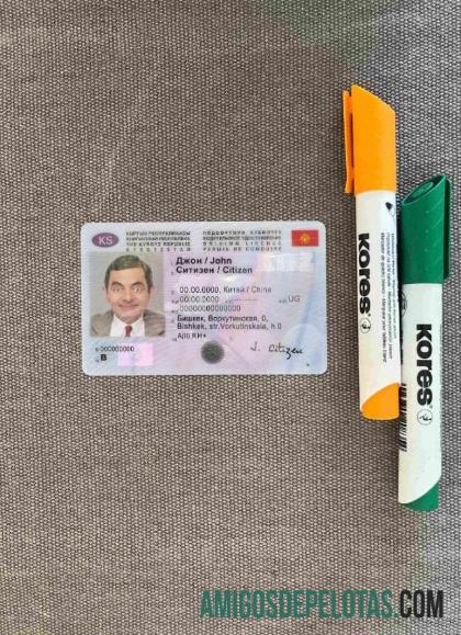 Kirgizstan DL tampilan foto depan sampel