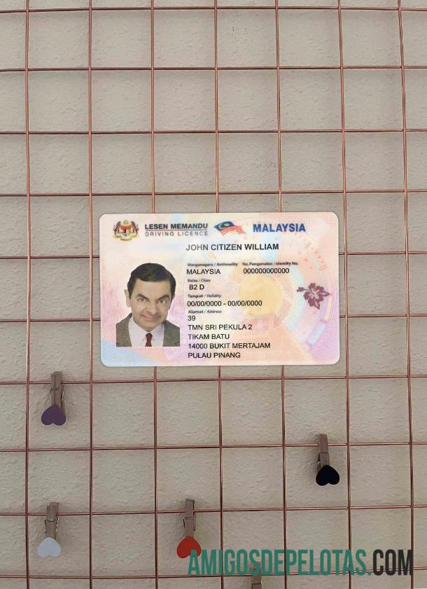 Malaysia DL tampilan foto depan desain
