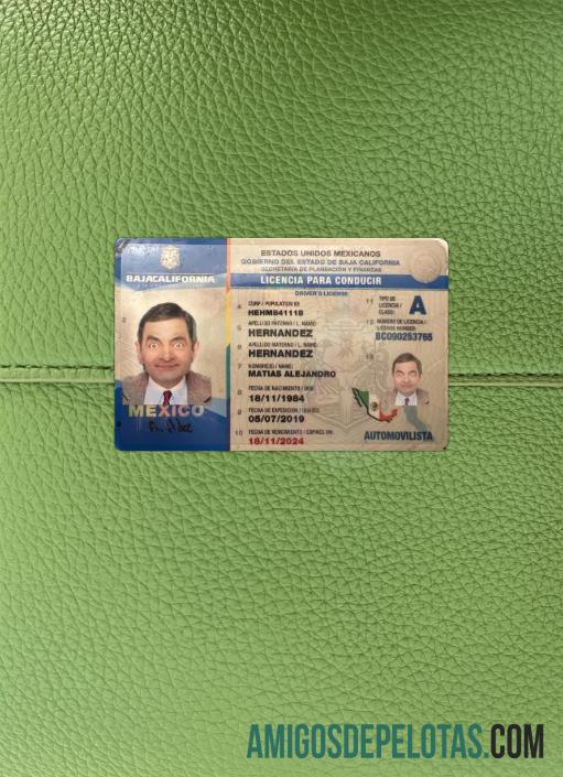 Meksiko Baja California state Surat Izin Mengemudi tampilan foto depan sampel