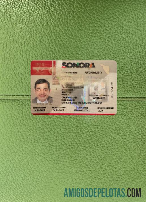 Meksiko Sonora state Surat Izin Mengemudi tampilan foto depan makering