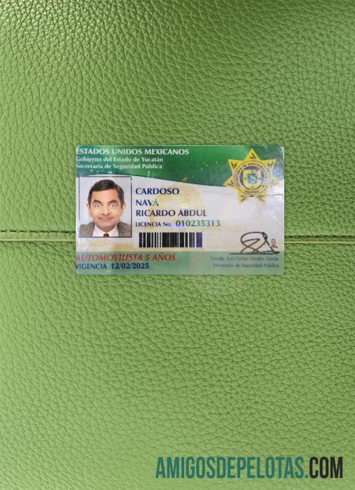 Meksiko Yucatan state Surat Izin Mengemudi tampilan foto depan desain