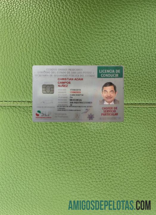 Meksiko Surat Izin Mengemudi 2019 sekarang tampilan foto depan sampel