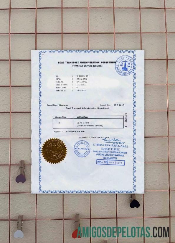Myanmar Surat Izin Mengemudi gratis tampilan foto templat