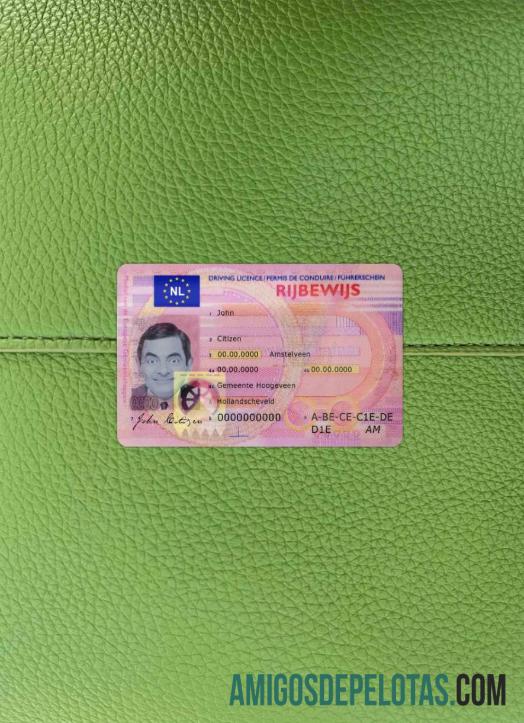Belanda Surat Izin Mengemudi tampilan foto depan sampel