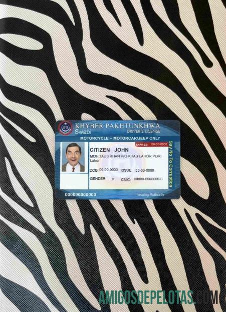Pakistan DL tampilan foto depan makering