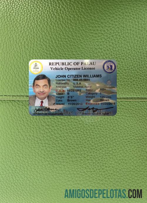Palau Surat Izin Mengemudi depan side tampilan foto pratinjau