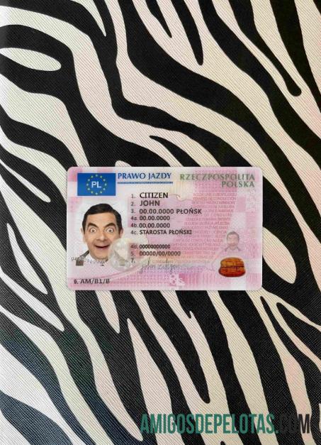 Polandia DL 2019 sekarang tampilan foto depan templat