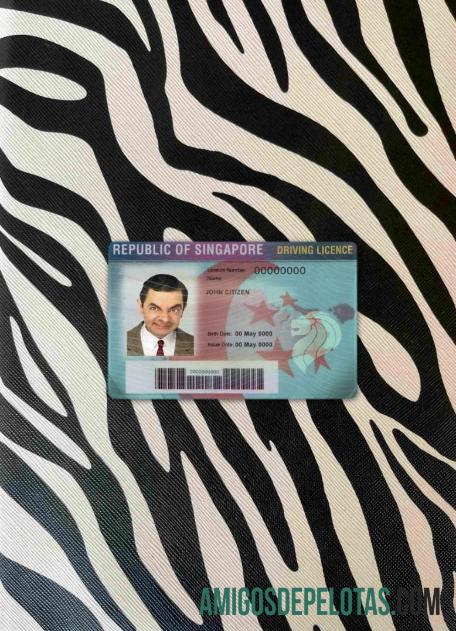Singapura Surat Izin Mengemudi tampilan foto depan sampel