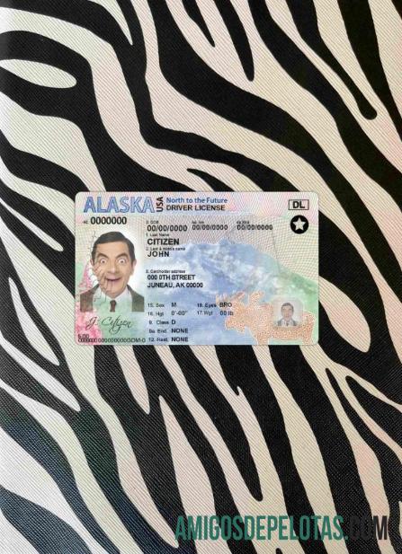 AS Alaska DL tampilan foto depan desain