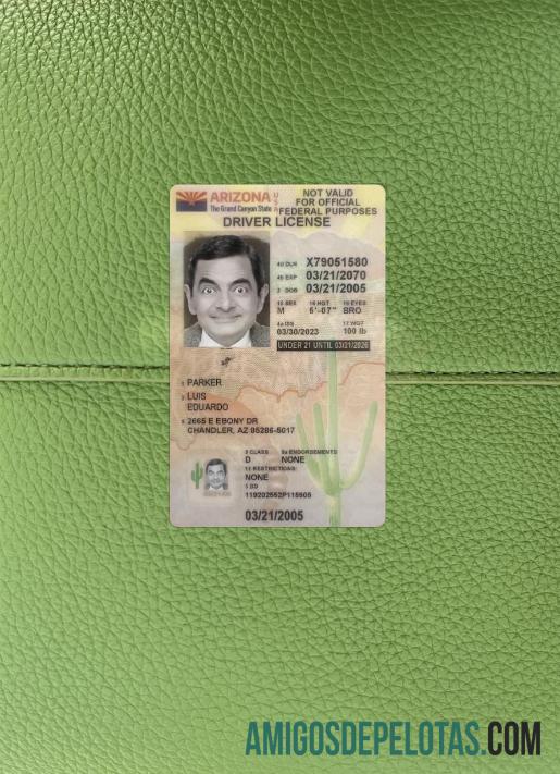 AS Arizona under 21 Surat Izin Mengemudi 2023 sekarang tampilan foto depan templat