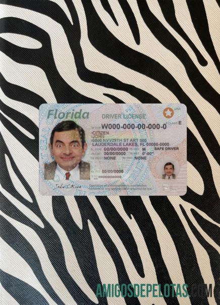 AS Florida Surat Izin Mengemudi 2018 sekarang tampilan foto depan sampel