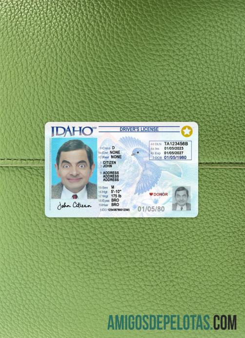 AS Idaho Surat Izin Mengemudi 2023 sekarang tampilan foto depan desain