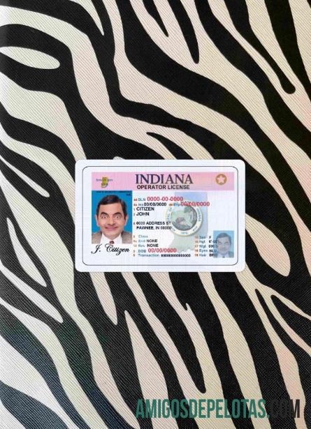 AS Indiana DL tampilan foto depan desain