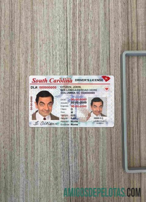 AS South Carolina DL tampilan foto depan makering