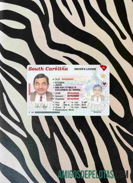 AS South Carolina state mengemudi(2020 ΓÇô sekarang) tampilan foto depan templat