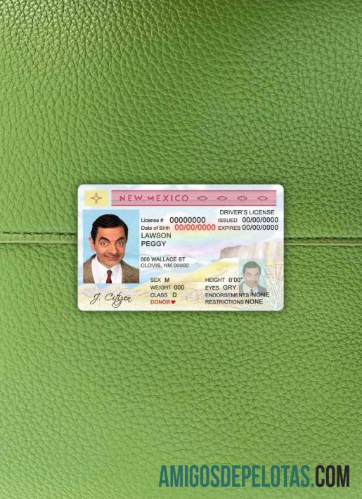 AS State Baru Meksiko DL tampilan foto depan templat