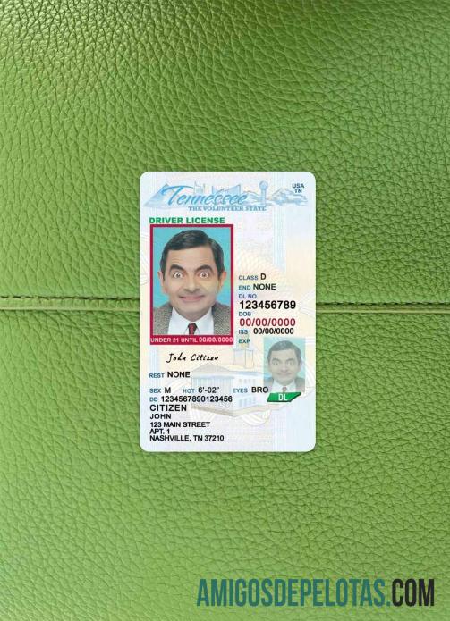 AS Tennessee Surat Izin Mengemudi under 21 tampilan foto depan makering