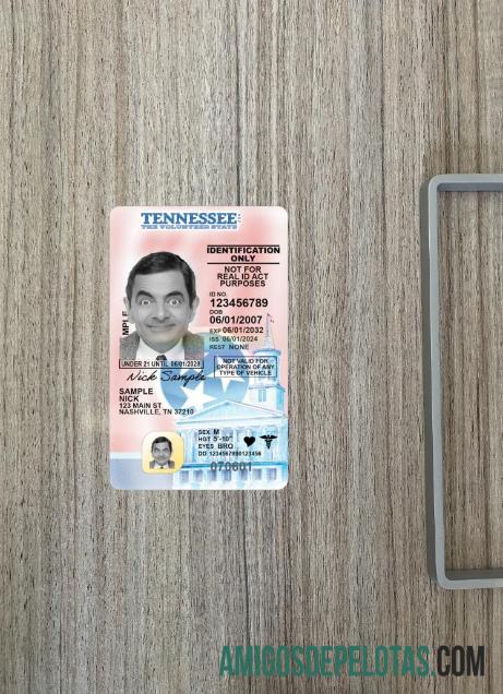 AS Tennessee under 21 Surat Izin Mengemudi 2024 sekarang tampilan foto depan templat