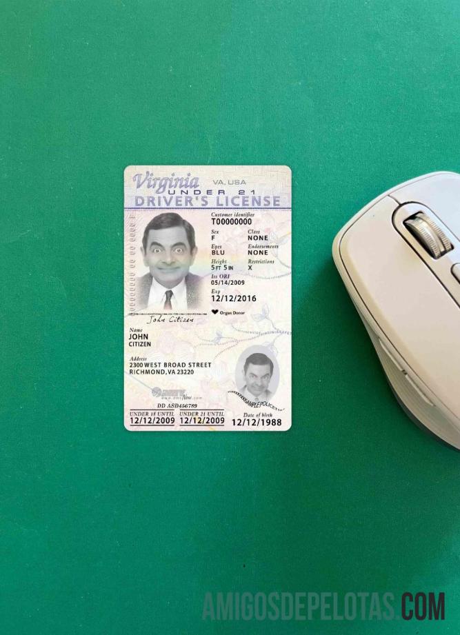 AS Virginia Surat Izin Mengemudi under 21 2009 sekarang tampilan foto depan sampel