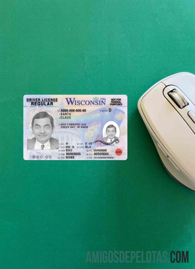 AS Wisconsin DL tampilan foto depan sampel