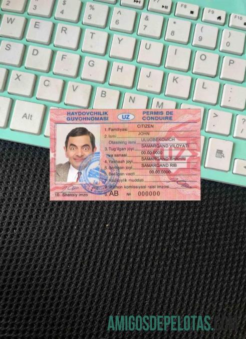Uzbekistan DL tampilan foto depan sampel