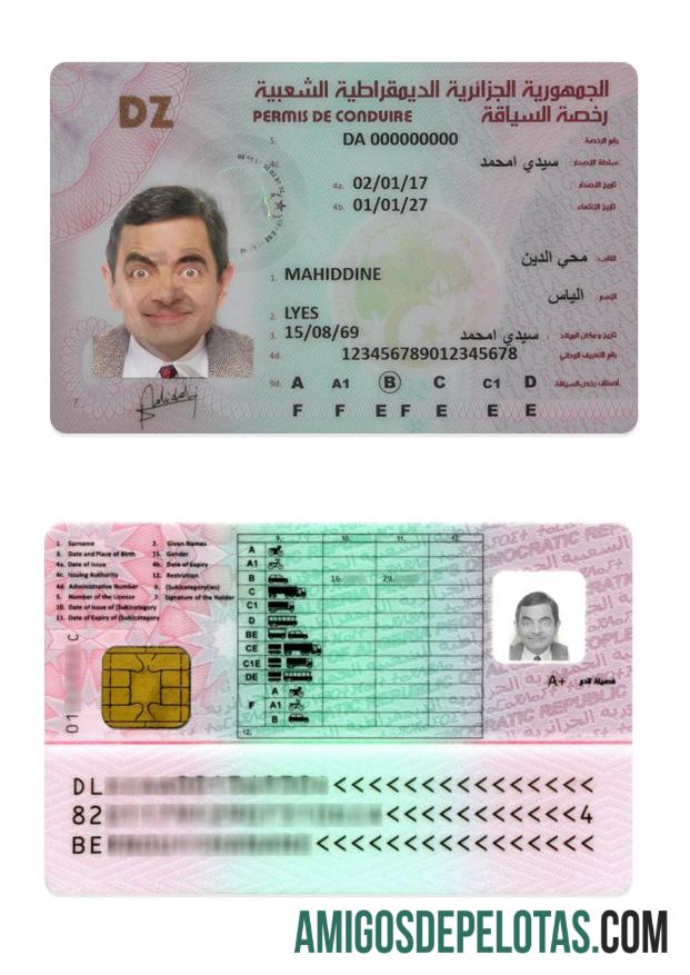 الجزائر ڈرائیونگ لائسنس پیش نظارہ