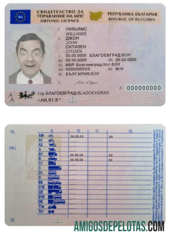 بلغاریہ ڈرائیونگ لائسنس (2010 ΓÇô موجودہ) پیش نظارہ