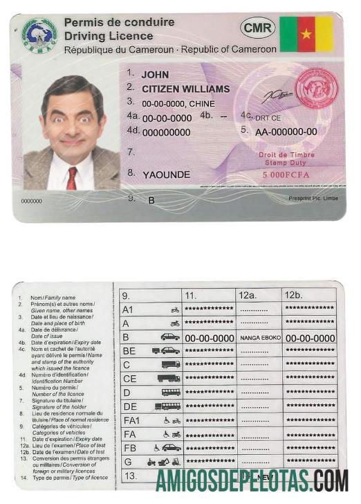 کیمرون ڈرائیونگ لائسنس پیش نظارہ