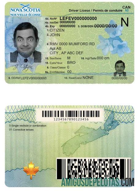 کینیڈا Nova Scotia ڈرائیونگ لائسنس ماک اپ