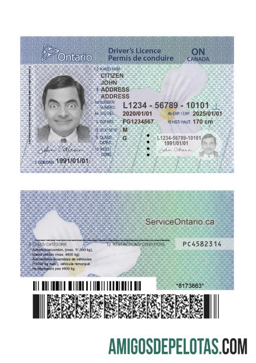 کینیڈا Ontario DL (2018 ΓÇô موجودہ) ورژن 2 ڈیزائن