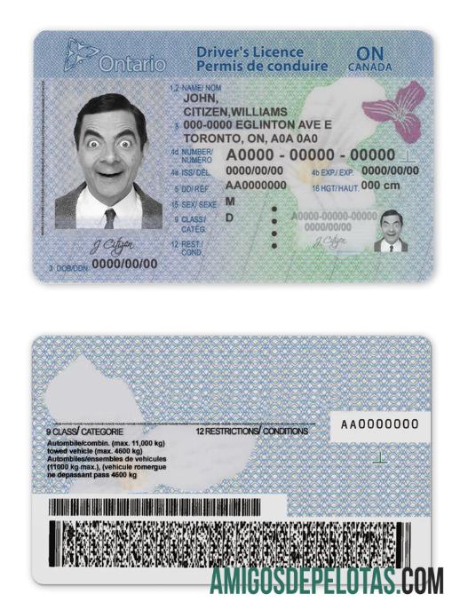 کینیڈا Ontario DL (2018 ΓÇô موجودہ) ڈیزائن