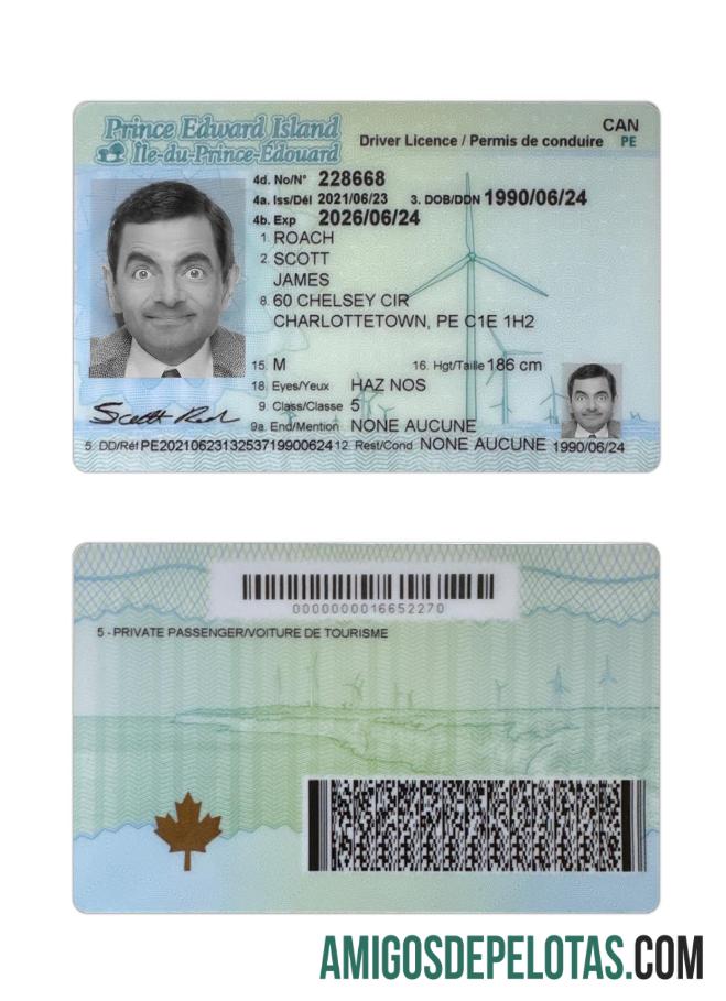 کینیڈا Prince Edward Island ڈرائیونگ لائسنس ٹیمپلیٹ