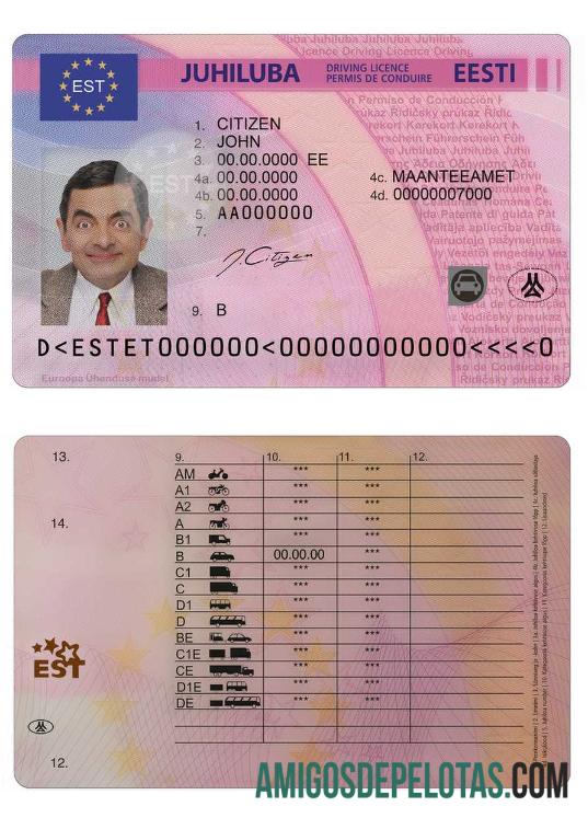 ایسٹونیا ڈرائیونگ لائسنس پیش نظارہ