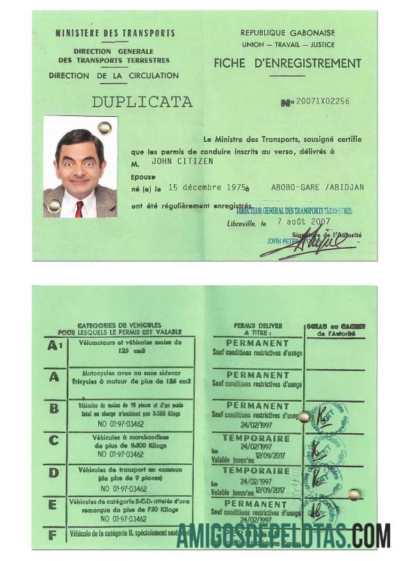 گیبون dl ڈیزائن