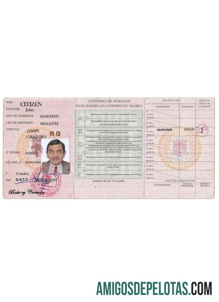 گنی ڈرائیونگ لائسنس نمونہ
