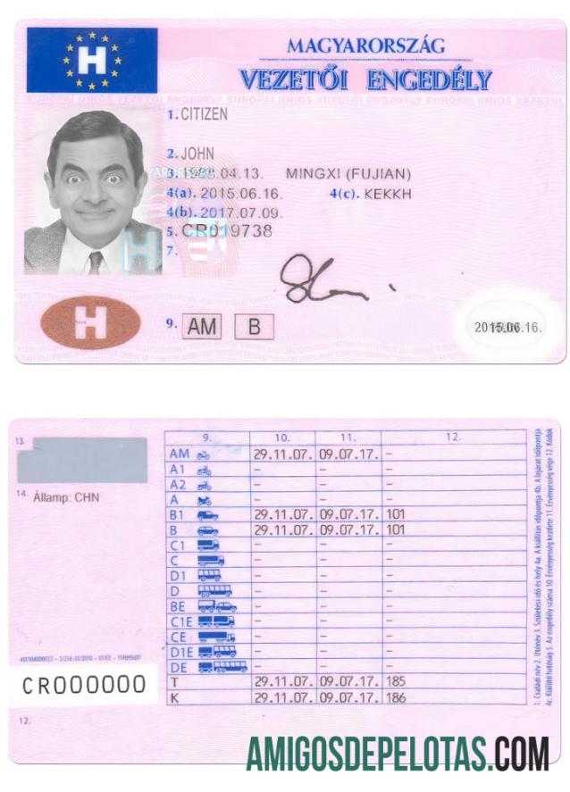 ہنگری dl ڈیزائن