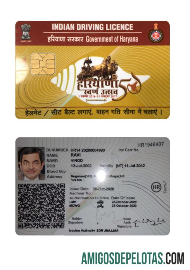 بھارت Haryana state ڈرائیونگ لائسنس ڈیزائن