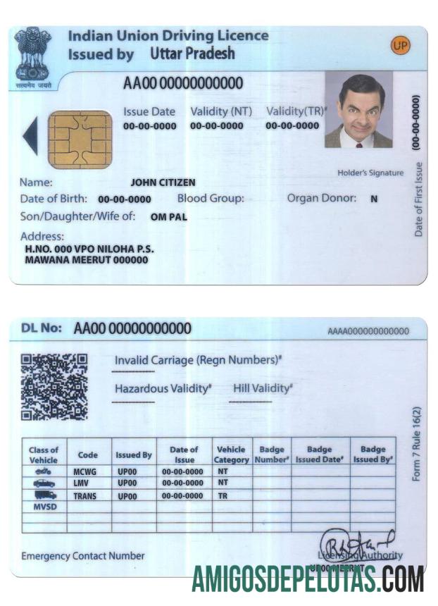 بھارت یونین ڈرائیونگ لائسنس ڈیزائن