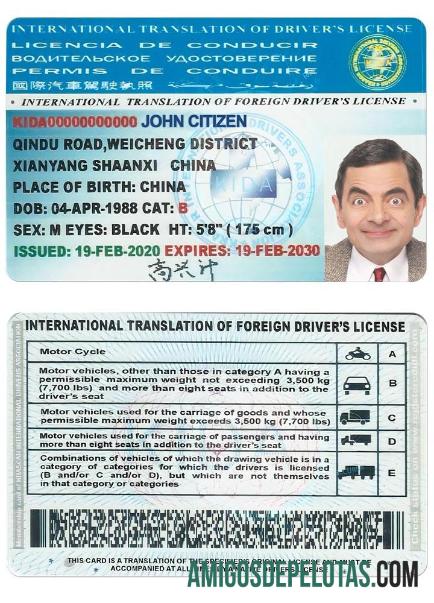 International Translation of drivers لائسنس ٹیمپلیٹ